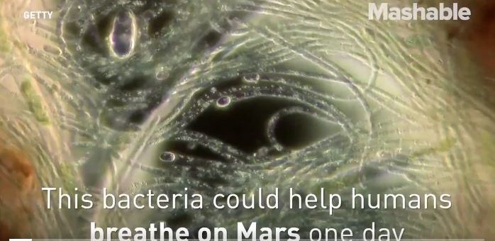 Bu bakteri Mars’ta nefes almamızı sağlayabilir